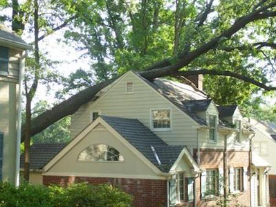 Tree damage, Salem 